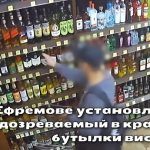 Кража алкоголя в магазине Ефремова