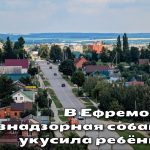 Неудовлетворительное регулирование обращения с бездомными животными в округе